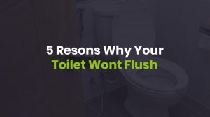 why your toilet wont flush