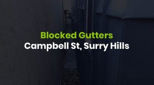 blocked gutters in Surry Hills
