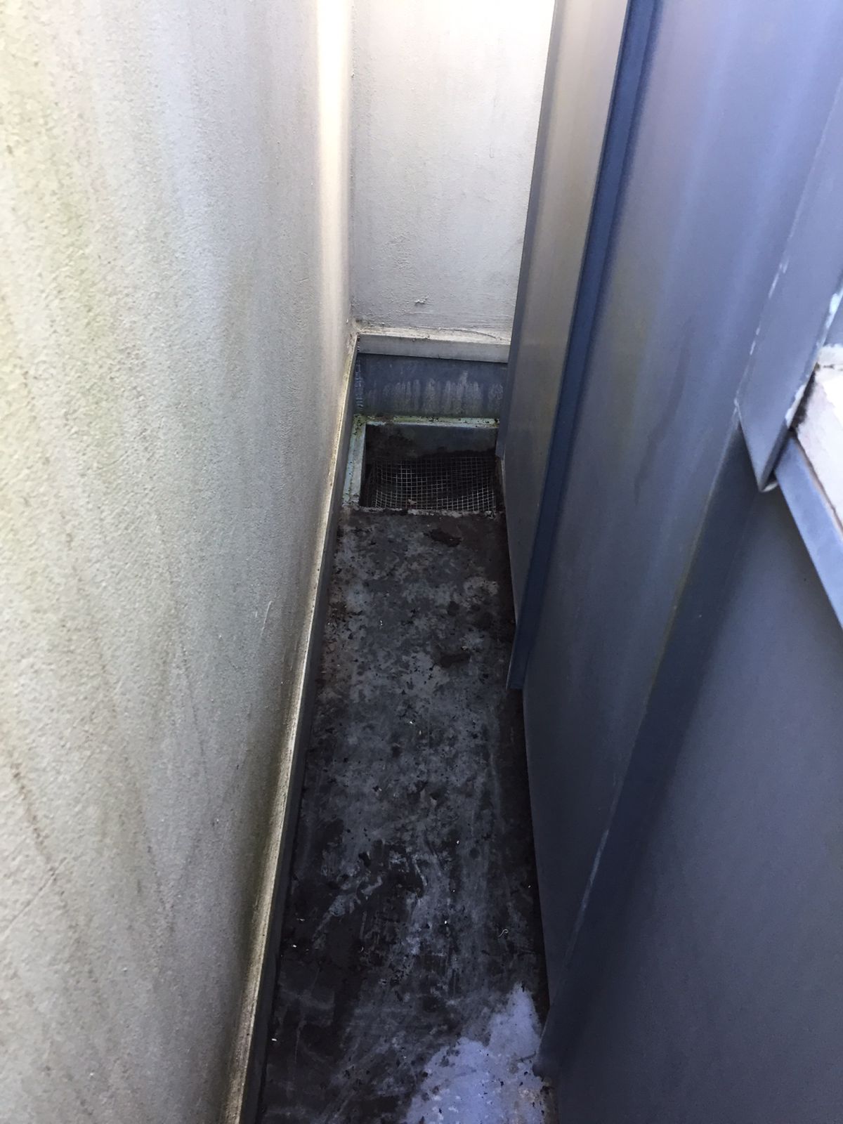 cleaned gutter in Surry Hills